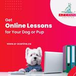 A-Z Canine Training - photo 8