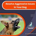 A-Z Canine Training - photo 9