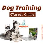 A-Z Canine Training - photo 10