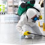 Possum Removal Canberra - photo 2