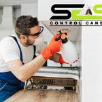 Possum Removal Canberra - photo 3