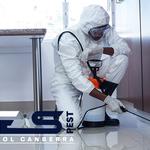 Possum Removal Canberra - photo 4