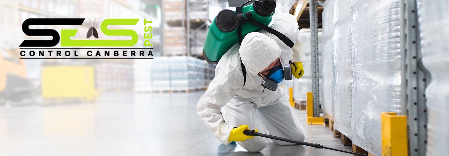 Possum Removal Canberra cover photo