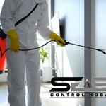 Cockroach Control Hobart - photo 3