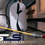 Cockroach Control Hobart - photo 4