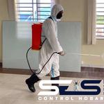 Cockroach Control Hobart - photo 5