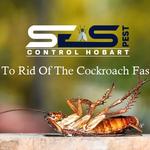 Cockroach Control Hobart - photo 6