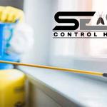 Cockroach Control Hobart - photo 7