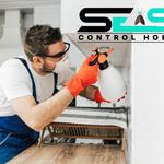 Cockroach Control Hobart - photo 8