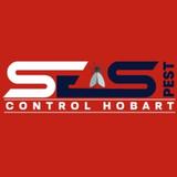Bee Control Hobart - Pest Control in Hobart