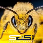 Bee Control Hobart - photo 5