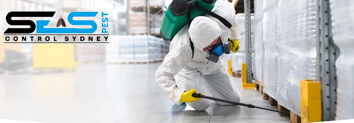 Cockroach Pest Control Sydney cover photo