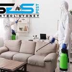 Cockroach Pest Control Sydney - photo 8