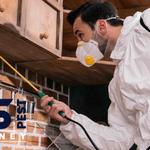 Cockroach Pest Control Sydney - photo 9