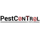 Spider Pest Control Perth