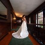 Melissa Lewis Photography - photo 6