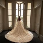 Melissa Lewis Photography - photo 8