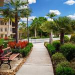 Northstar Landscape Construction & Design - photo 7