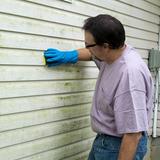 Wickham Park Mold Experts