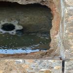 Adelaide Underpinning Group - photo 3