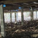 Bendigo Restumping & Underpinning - photo 5