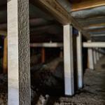 Ballarat Restumping - photo 1