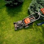 Pro Landscaping Geelong - photo 4