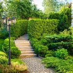 Pro Landscaping Geelong - photo 5