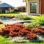 Pro Landscaping Geelong - photo 6