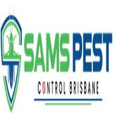 Bee Control Brisbane - Pest Control in Brisbane