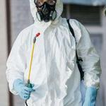 Bee Control Brisbane - photo 1