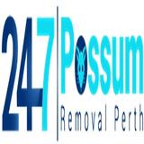 Possum Removal Perth
