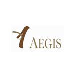 AEGIS 駿安會計及秘書服務 - Financial Services in Hong Kong