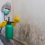 Fleming Island Mold Solutions - photo 1