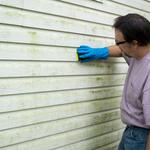 Fleming Island Mold Solutions - photo 2