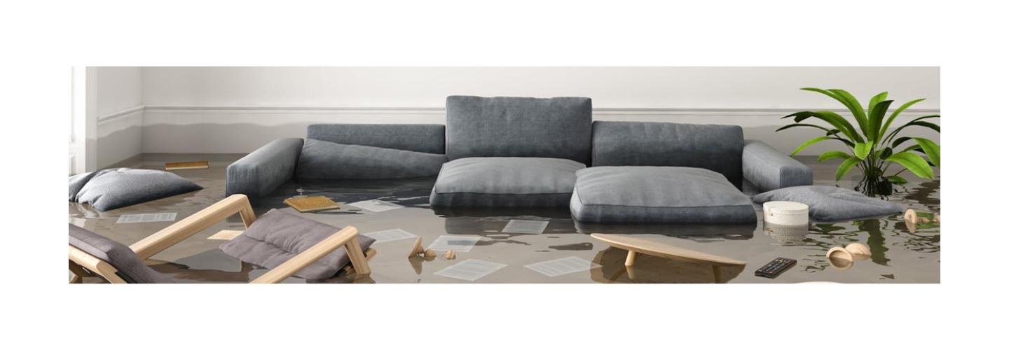 New England Restoration cover photo