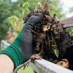 Aberdeen Gutter Cleaning - photo 1