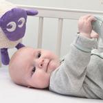 Sweet Dreamers | Ewan the Dream Sheep - photo 3