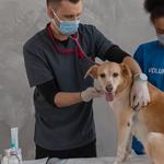 Blackstone Career Institute - photo 2