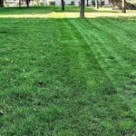 Paterik Entretien Paysager - photo 1