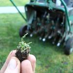 Paterik Entretien Paysager - photo 2