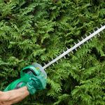 Paterik Entretien Paysager - photo 3