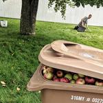 Paterik Entretien Paysager - photo 4