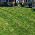 Paterik Entretien Paysager - photo 5