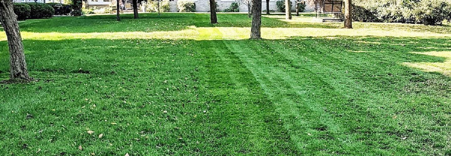 Paterik Entretien Paysager cover photo