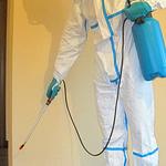 Flies Treatment Hobart - photo 1