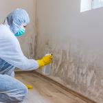Concord Grape Mold Inspections - photo 2
