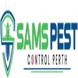 Termite Treatment Perth