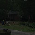 Ancient City Arbor LLC - photo 2