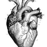 Dayton Cardiology and Vascular Consultants - photo 3